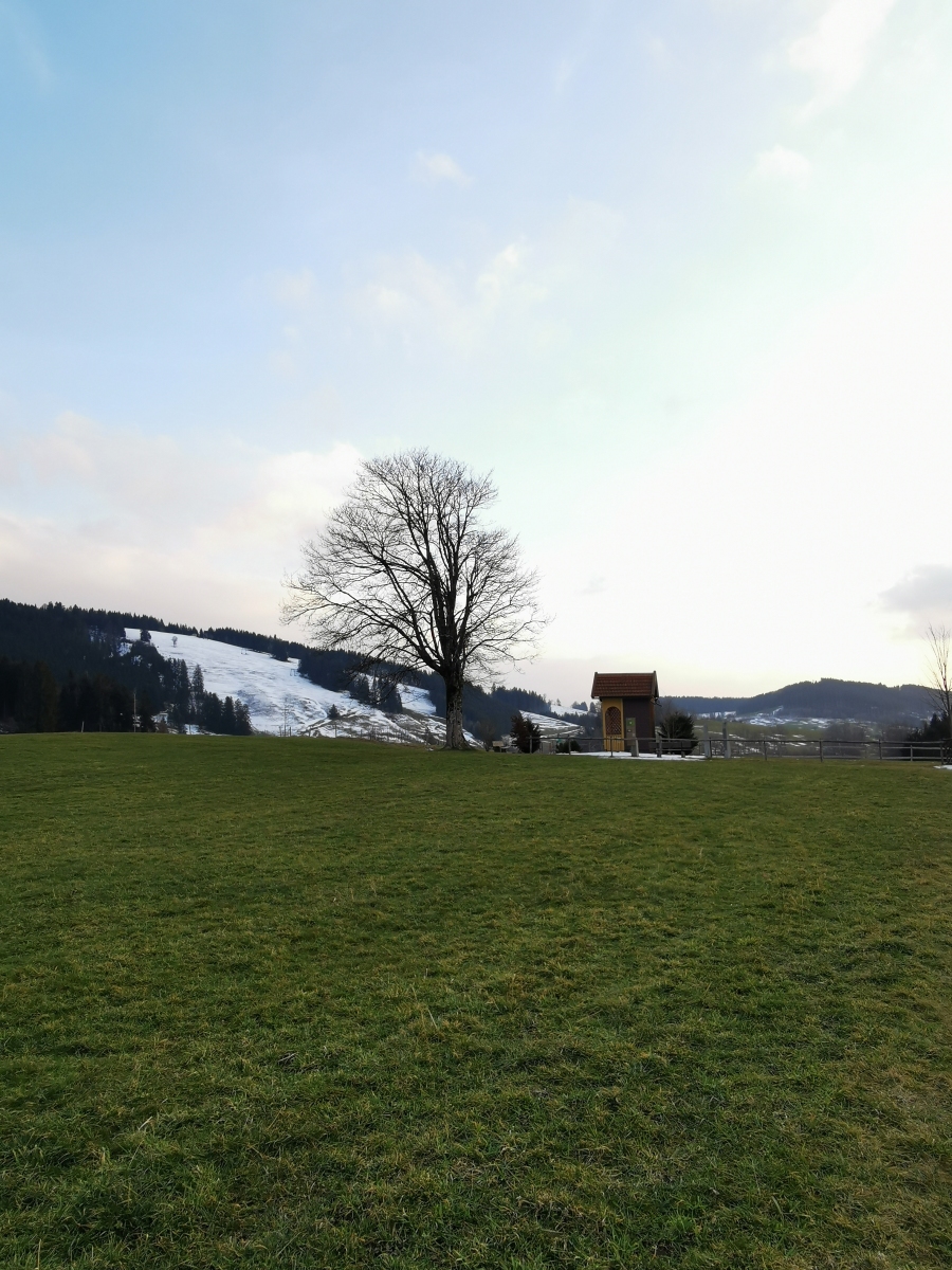 img_20230305_174025